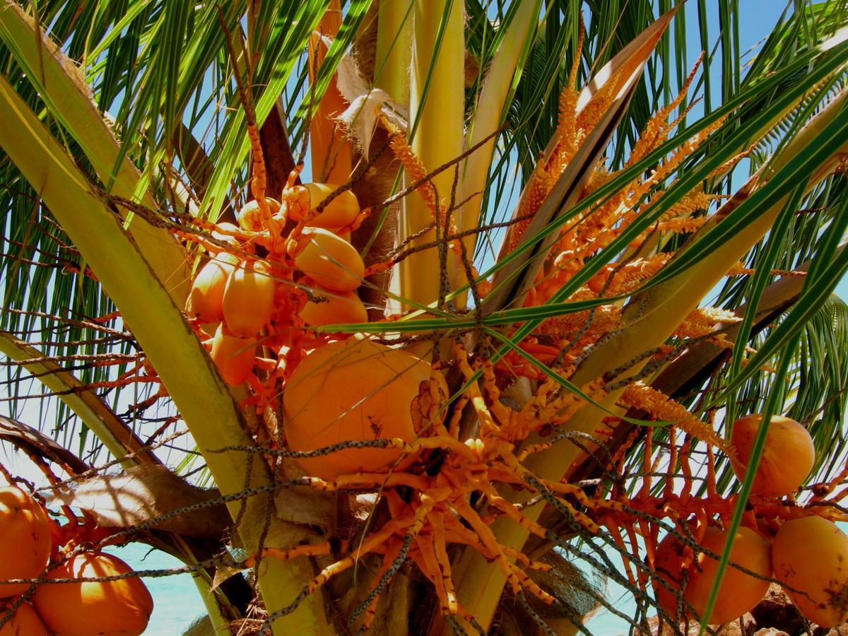 Amoa Resort Savaii Tuasivi Bagian luar foto